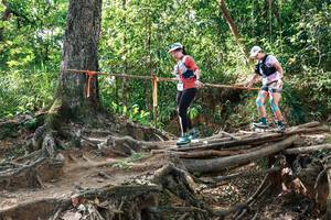 BIB: 
                            <button type="button" onclick="openModal(27558544)" class="btn btn-primary btn-sm float-right btn-popup" data-toggle="modal" data-target=".modal-high-quality">
                        <i class="fas fa-shopping-cart"></i> Add to Cart
                    </button>
                                            <button type="button" onclick="isThisMe(27558544, true)" class="btn btn-success btn-sm float-right btn-popup btn-isme hidden" data-toggle="tooltip" data-placement="bottom" title="นี่คือรูปของคุณใช่ไหม คลิกที่นี่เพื่อเอาเข้าอัลบั้ม">
                        <i class="fas fa-plus"></i> Add to album
                    </button>
                    <button type="button" onclick="isThisMe(27558544, false)" class="btn btn-warning btn-sm float-right btn-popup btn-isnotme hidden">
                        <i class="fas fa-ban"></i> Remove from album
                    </button>